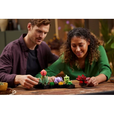 Succulents 18+ წელი - LEGO Toys - ლეგოს სათამაშოები