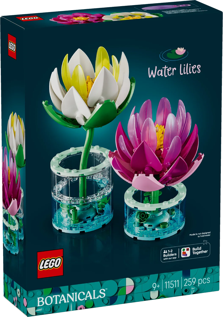 Water Lilies