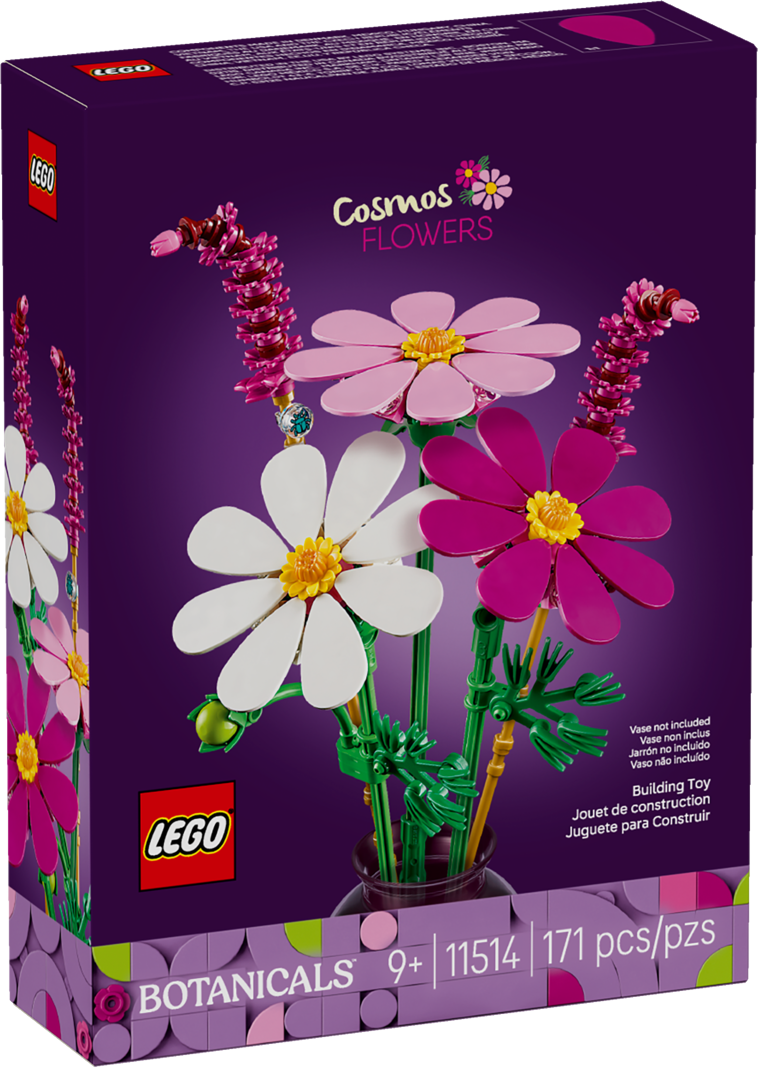 Cosmos Flowers