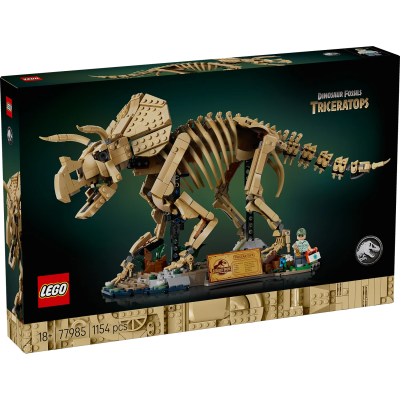 Dinosaur Fossils: Triceratops